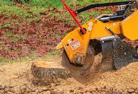 Best Storm Damage Tree Cleanup  in Fort Wright, KY