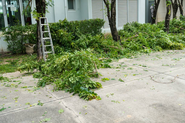 Best Utility Line Clearance  in Fort Wright, KY