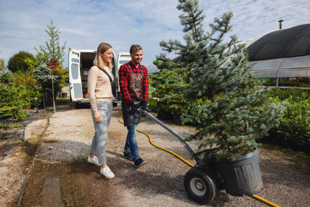 Best Tree Preservation Services  in Fort Wright, KY